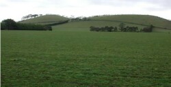 Unit 33 image c