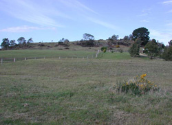 Unit 35 image b