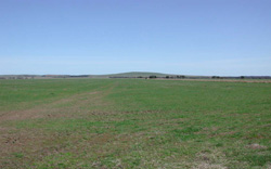 Unit 36 image a