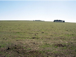 Unit 37 image b
