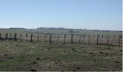 Unit 37 image c