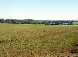 Unit 38 image b