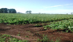 Unit 38 image c