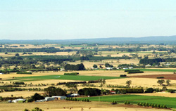 Unit 39 image a