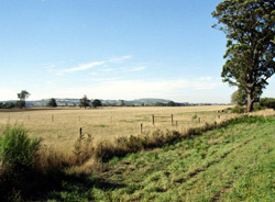 Unit 39 image b