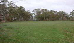 Unit 39 image c