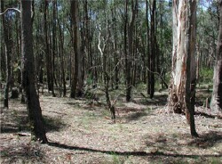 Unit 3 image b