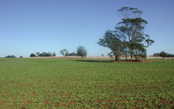 Unit 40 image a