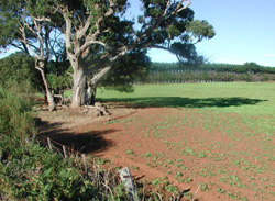 Unit 40 image b