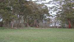 Unit 40 image c