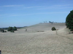 Unit 41 image b