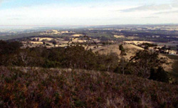 Unit 42 image a