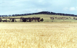 Unit 43 image a