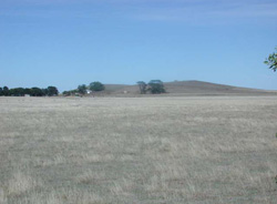 Unit 43 image b