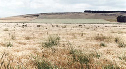 Unit 43 image c