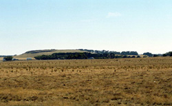 Unit 44 image a