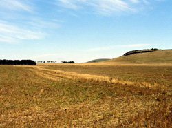 Unit 44 image b