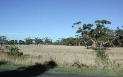 Unit 45 image a