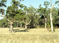 Unit 45 image b