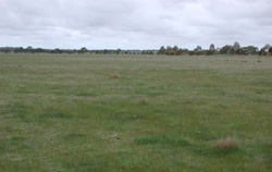 Unit 46 image a