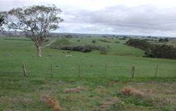 Unit 47 image a