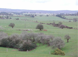 Unit 47 image b