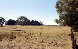 Unit 48 image a