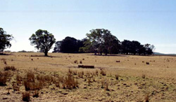 Unit 48 image c