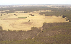Unit 49 image a