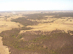 Unit 49 image b