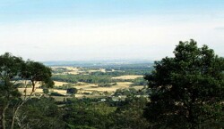 Unit 4  image c
