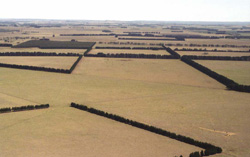 Unit 50 image a