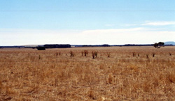 Unit 50 image c