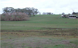 Unit 51 image a