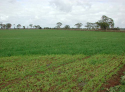 Unit 51 image b