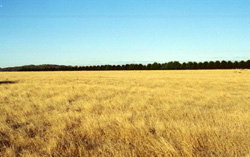 Unit 52 image a