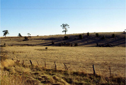 Unit 52 image b