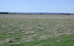 Unit 53 image a