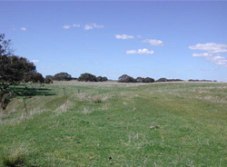 Unit 53 image b