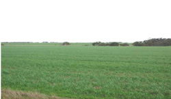 Unit 53 image c