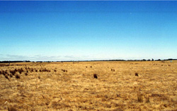 Unit 54 image a