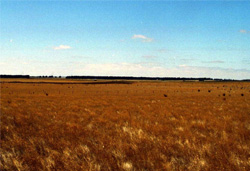 Unit 54 image b