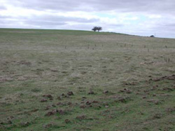Unit 54 image c