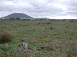 Unit 55 image a