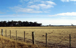 Unit 56 image a