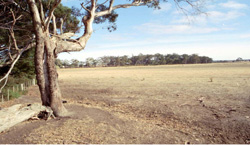 Unit 56 image c