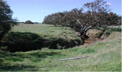 Unit 57 image c