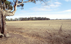 Unit 58 image a