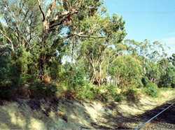 Unit 58 image b