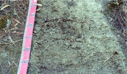 Unit 58 image c